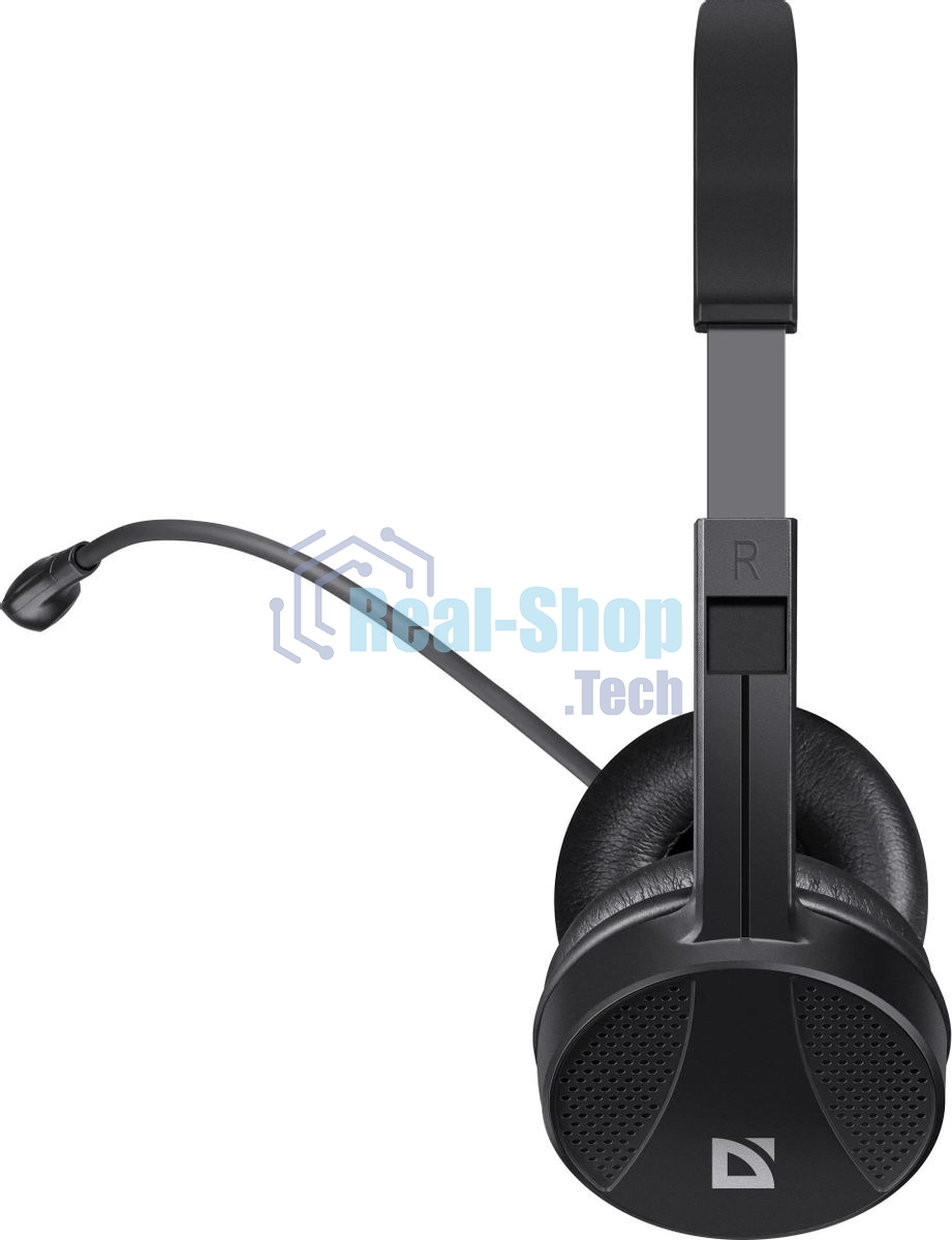 Гарнитура проводная Defender Tune 160 (черный, провод 1.8 м)