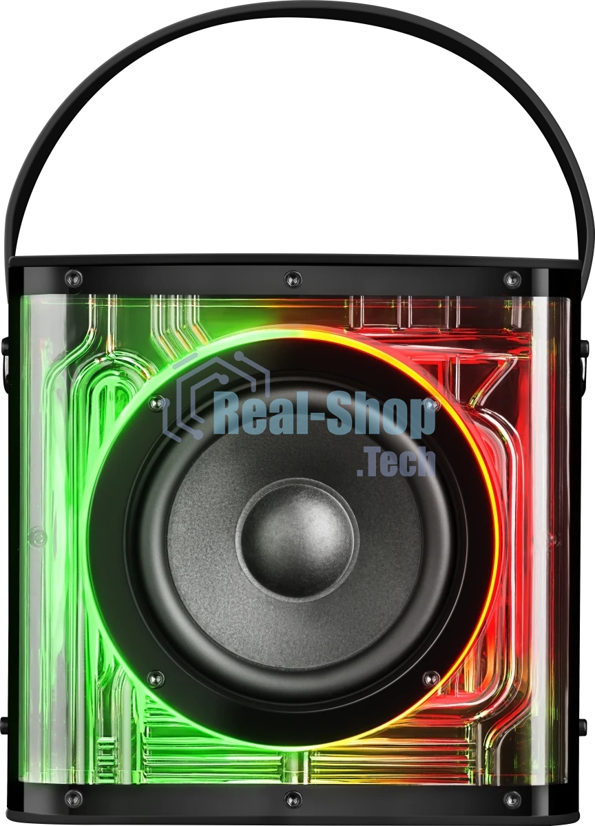 Портативная колонка Defender Versuz 15Вт,