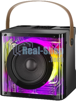 Портативная колонка Defender Versuz 15Вт,