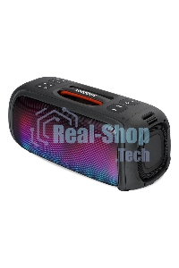 Акустическая система Smartbuy (SBS-5560) EVOLUTION 2, черный