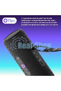 Умная колонка Yandex Стрит Алиса черный 30W 2.0 BT/Wi-Fi 10м 3300mAh (YNDX-00030BLK)