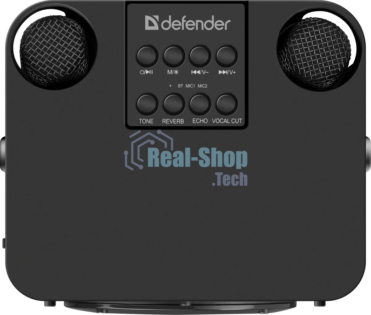 Портативная колонка Defender Versuz 15Вт,