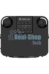 Портативная колонка Defender Versuz 15Вт,