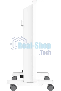 Конвектор Royal Clima Niovo Miccanico REC-N2000M 2000Вт белый