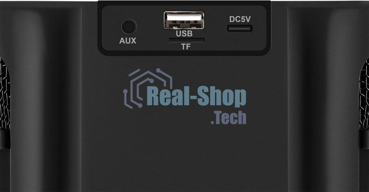 Портативная колонка Defender Versuz 15Вт,