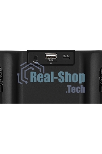 Портативная колонка Defender Versuz 15Вт,