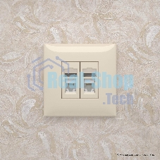 Розетка компьютерная DKC Avanti 4405464 RJ-45 двойная, категория 5e 