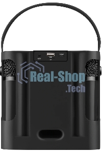 Портативная колонка Defender Versuz 15Вт,