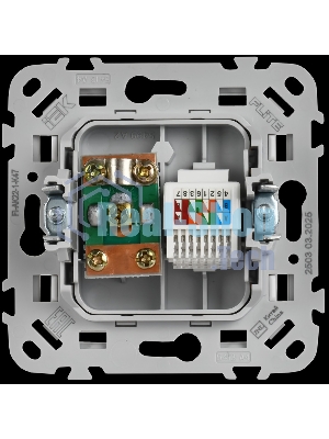 Розетка 2-местная RJ45/TV категория 5Е UTP РКТВ5е-2-0-ФлА алюминий FLITE