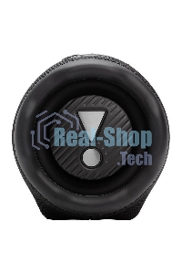 Портативная колонка JBL CHARGE 6 45W черный