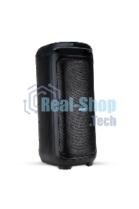 Колонка Eltronic 10