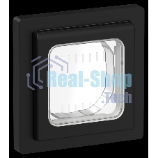 Рамка 1-местная IP55 Рпро-1-55-ФлЧ черный FLITE