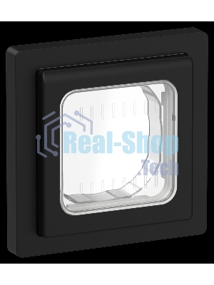 Рамка 1-местная IP55 Рпро-1-55-ФлЧ черный FLITE