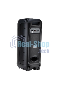 Колонка Eltronic 10