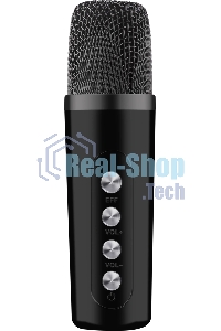 Портативная колонка Defender Versuz 15Вт,