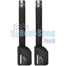 Микрофон конденсаторный sE Electronics RN17 (Stereo Set) инструментальный, подобранная пара, 20 Гц 20 кГц, кардиоида, 6 мВ/Па, SPL: 150 дБ