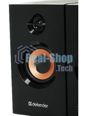 Акустическая система Defender AURORA S20 2x10 Вт RMS,20-20000 Гц, разъем для наушников