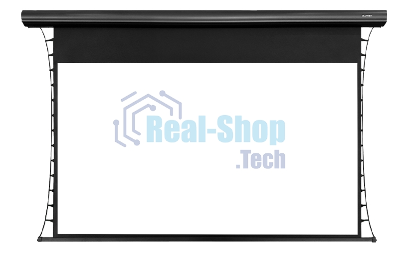 Экран с электроприводом Lumien Cinema Control 219x362 см (раб.область 198х352 см) (159