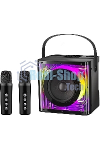 Портативная колонка Defender Versuz 15Вт,