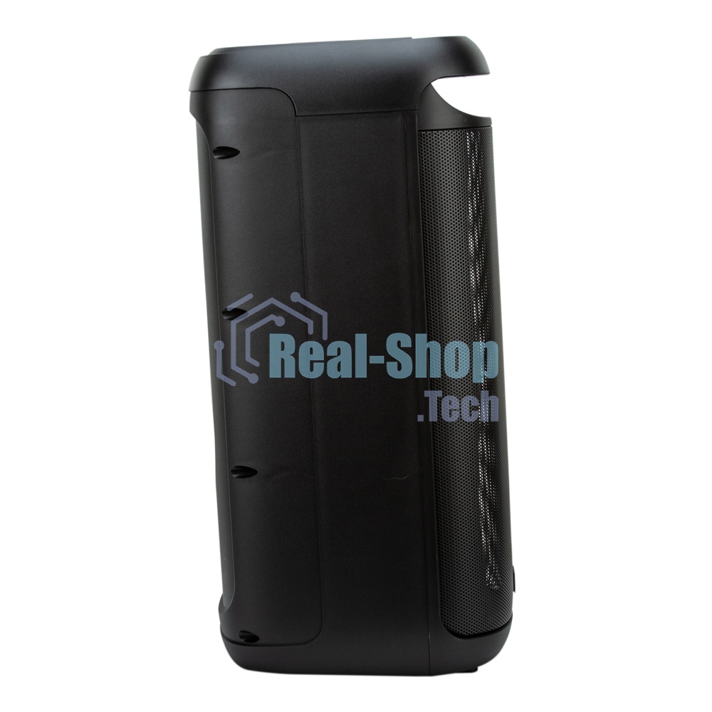 Акустическая система ELTRONIC (30-44) DANCE BOX 900 - колонка 06