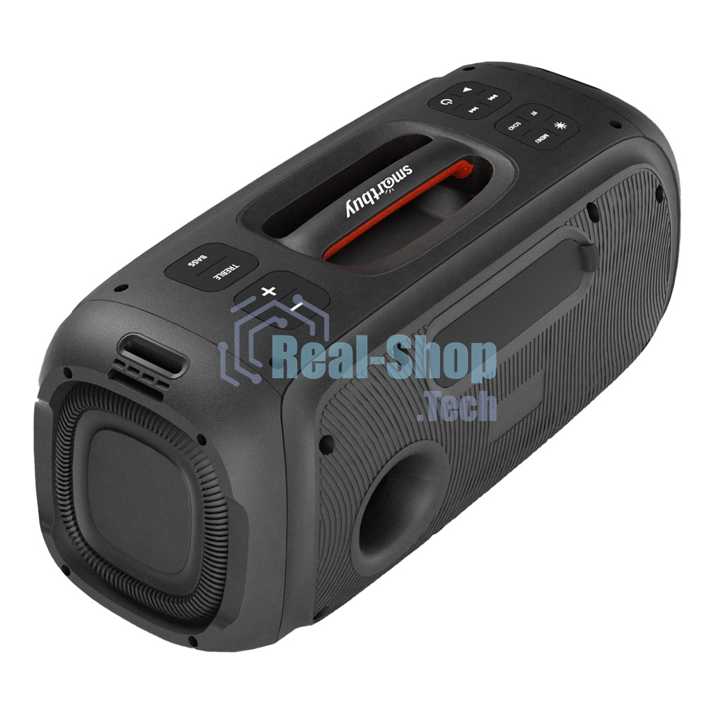 Акустическая система Smartbuy (SBS-5560) EVOLUTION 2, черный