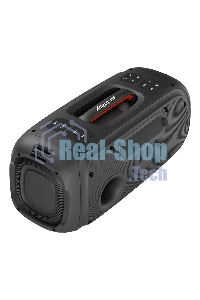 Акустическая система Smartbuy (SBS-5560) EVOLUTION 2, черный