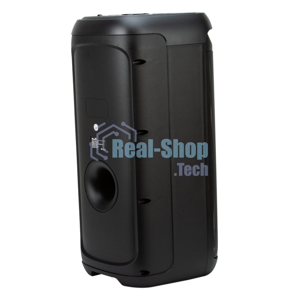 Акустическая система ELTRONIC (30-44) DANCE BOX 900 - колонка 06