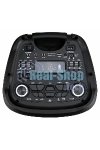 Колонка Eltronic 10