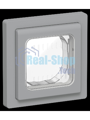 Рамка 1-местная IP55 Рпро-1-55-ФлС серый FLITE