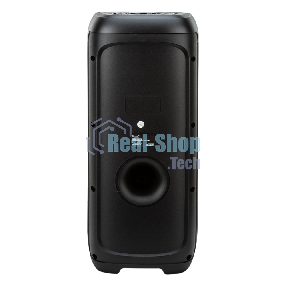 Акустическая система ELTRONIC (30-44) DANCE BOX 900 - колонка 06