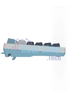 Клавиатура проводная A4Tech Fstyler FS300 (FS300 PANDA SNOWBOARDING), USB, белый/синий