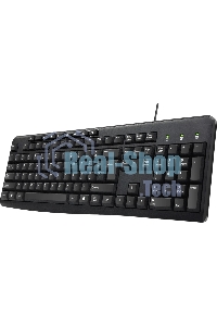 Клавиатура проводная Oklick 305M (1659987), USB, черный