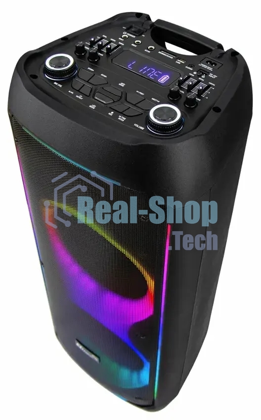 Колонка Eltronic 10