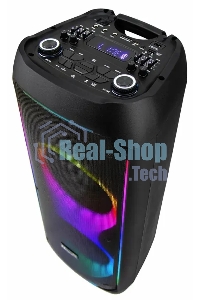 Колонка Eltronic 10