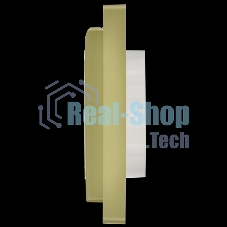 Рамка 1-местная IP55 Рпро-1-55-ФлО оливковый FLITE