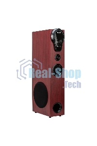 Колонка Eltronic 08