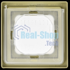 Рамка 1-местная IP55 Рпро-1-55-ФлО оливковый FLITE