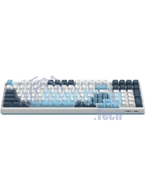 Клавиатура проводная A4Tech Fstyler FS300 (FS300 PANDA SNOWBOARDING), USB, белый/синий