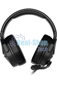 Гарнитура проводная с микрофоном Acer OHW312 черный 2м мониторные USB оголовье (ZL.HDSEE.007)