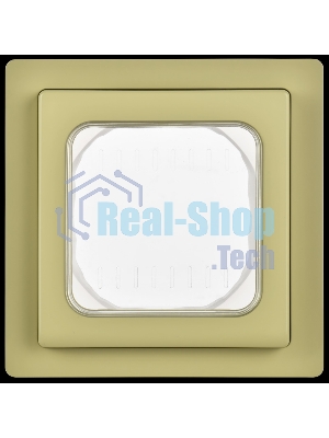 Рамка 1-местная IP55 Рпро-1-55-ФлО оливковый FLITE