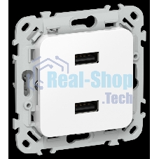 Розетка USB A+A 2,1А РЮ-2-ФлБ белый FLITE