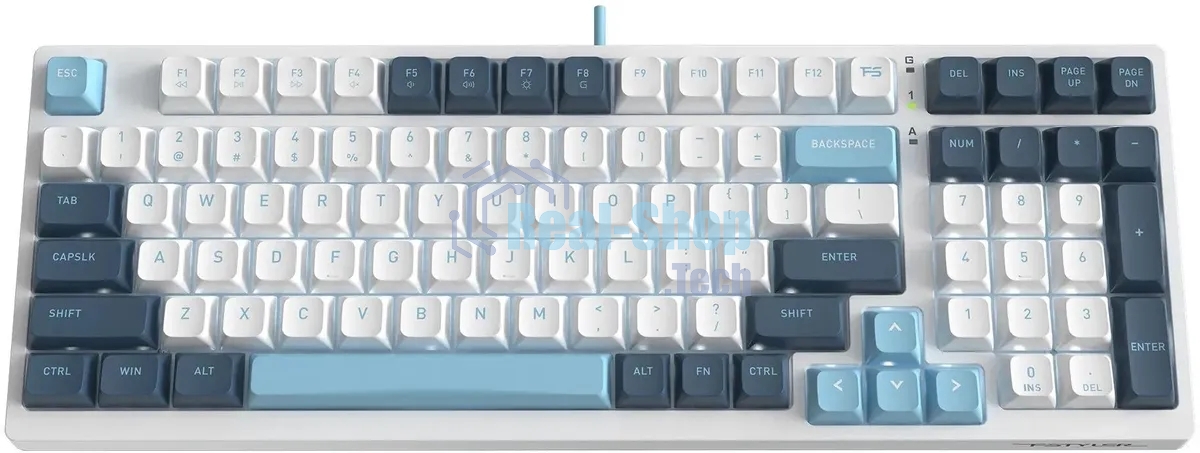 Клавиатура проводная A4Tech Fstyler FS300 (FS300 PANDA SNOWBOARDING), USB, белый/синий