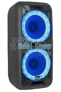 Колонка Eltronic 10