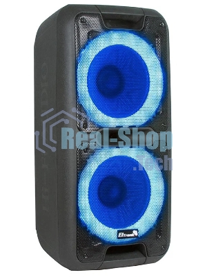 Колонка Eltronic 10