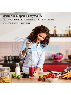 Блендер погружной Hyundai HYB-H3824 800 Вт, серебристый/черный