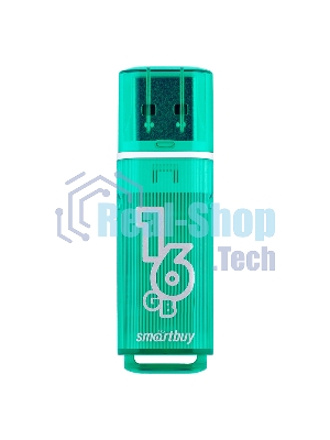 Флешка USB R/W 2.0 Smartbuy 16 Gb,Glossy series зеленый Snake Edition (SB16 GbGSGSN)