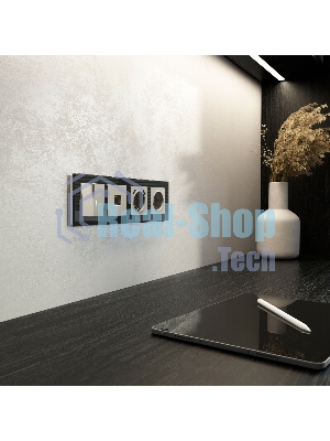 Накладка для розетки USB WERKEL (дымчатый) W1279504