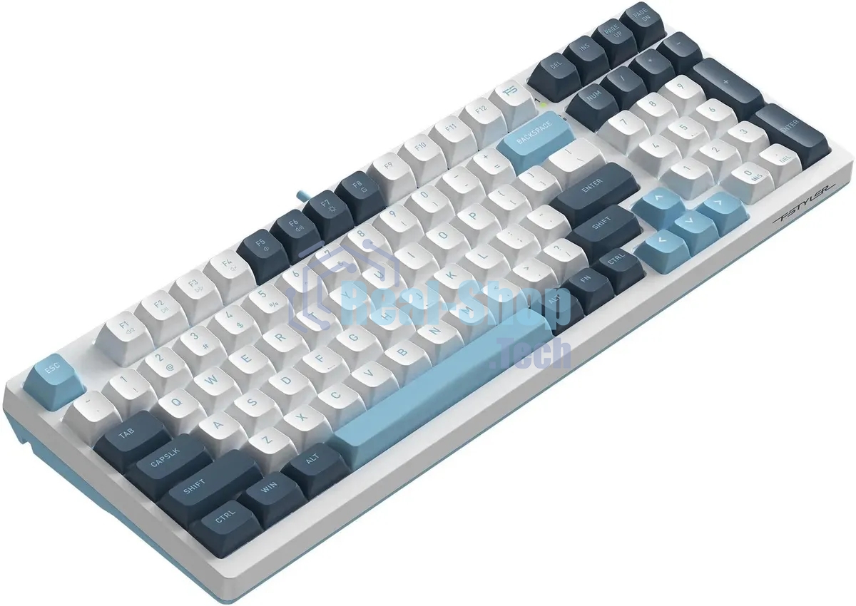 Клавиатура проводная A4Tech Fstyler FS300 (FS300 PANDA SNOWBOARDING), USB, белый/синий
