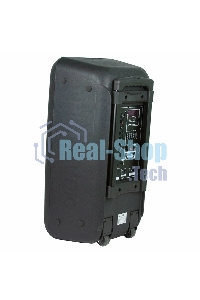 Колонка Eltronic 10