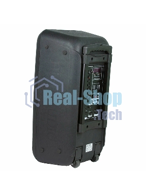 Колонка Eltronic 10